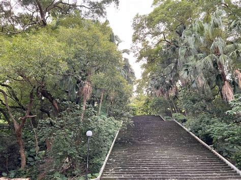 陳誠墓園|前副總統墓園變身森林公園 泰山辭修公園森林秘境適。